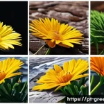 그리스 전통 시장 탐방 - Here are three detailed image prompts in English, adhering to all the specified guidelines: